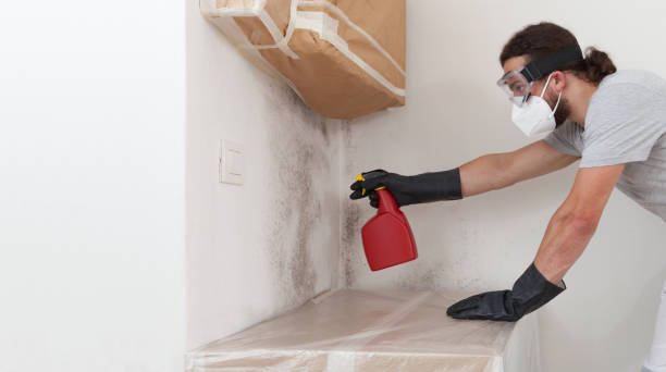 Professional Bathroom Mold Removal technician working in Richmond, IL