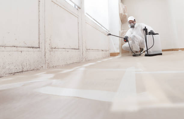 24/7 Emergency Bathroom Mold Removal experts in Richmond, IL