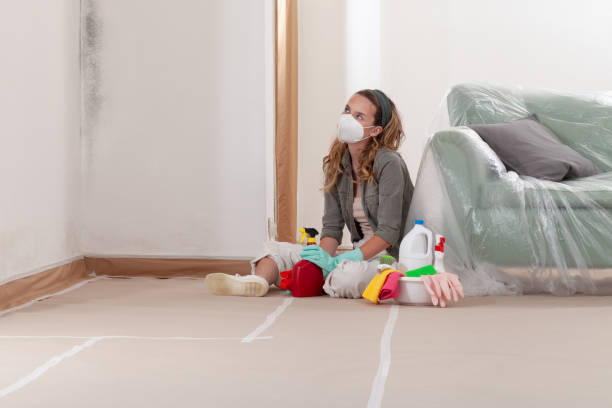 Reliable Bathroom Mold Removal contractor in Richmond, IL by 24 Hour Mold Removal