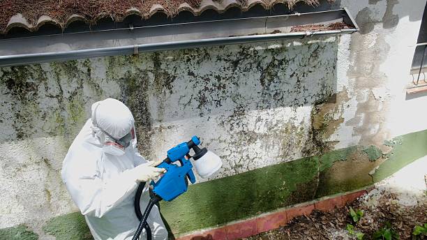 Top rated local Bathroom Mold Removal specialists in Richmond, IL